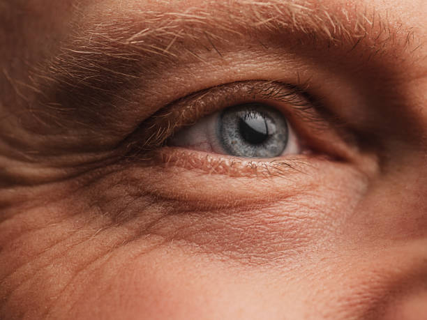 istockphoto-1455923341-612x612.jpg